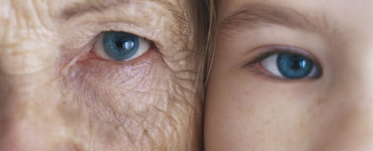 "7 Year Itch?" Your Body Is Always Renewing — Are You Supporting It?